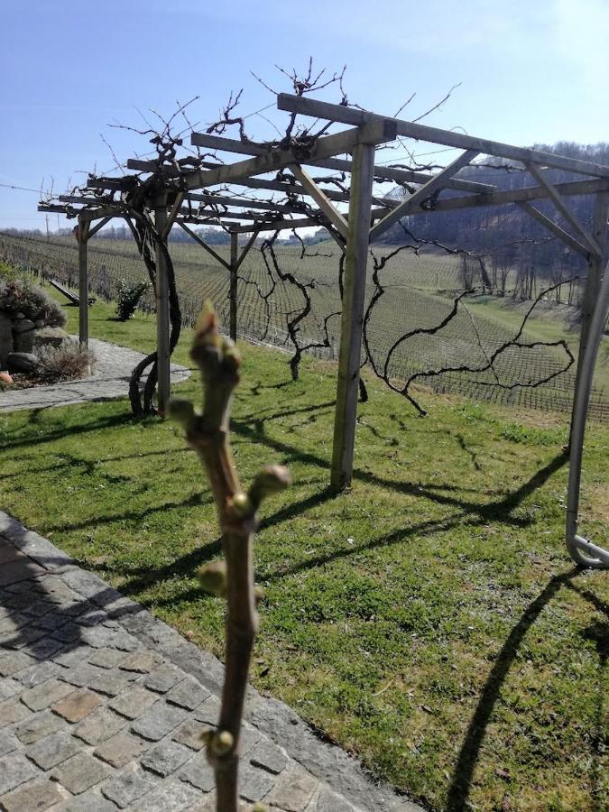 Das Weinberghaus Ratsch an der Weinstraße Εξωτερικό φωτογραφία