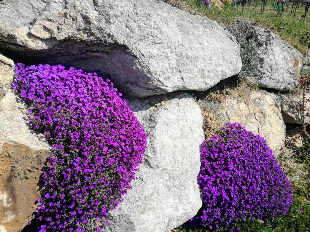 Das Weinberghaus Ratsch an der Weinstraße Εξωτερικό φωτογραφία