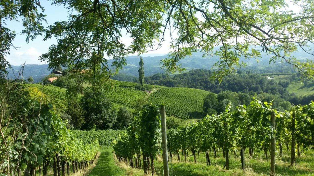 Das Weinberghaus Ratsch an der Weinstraße Εξωτερικό φωτογραφία