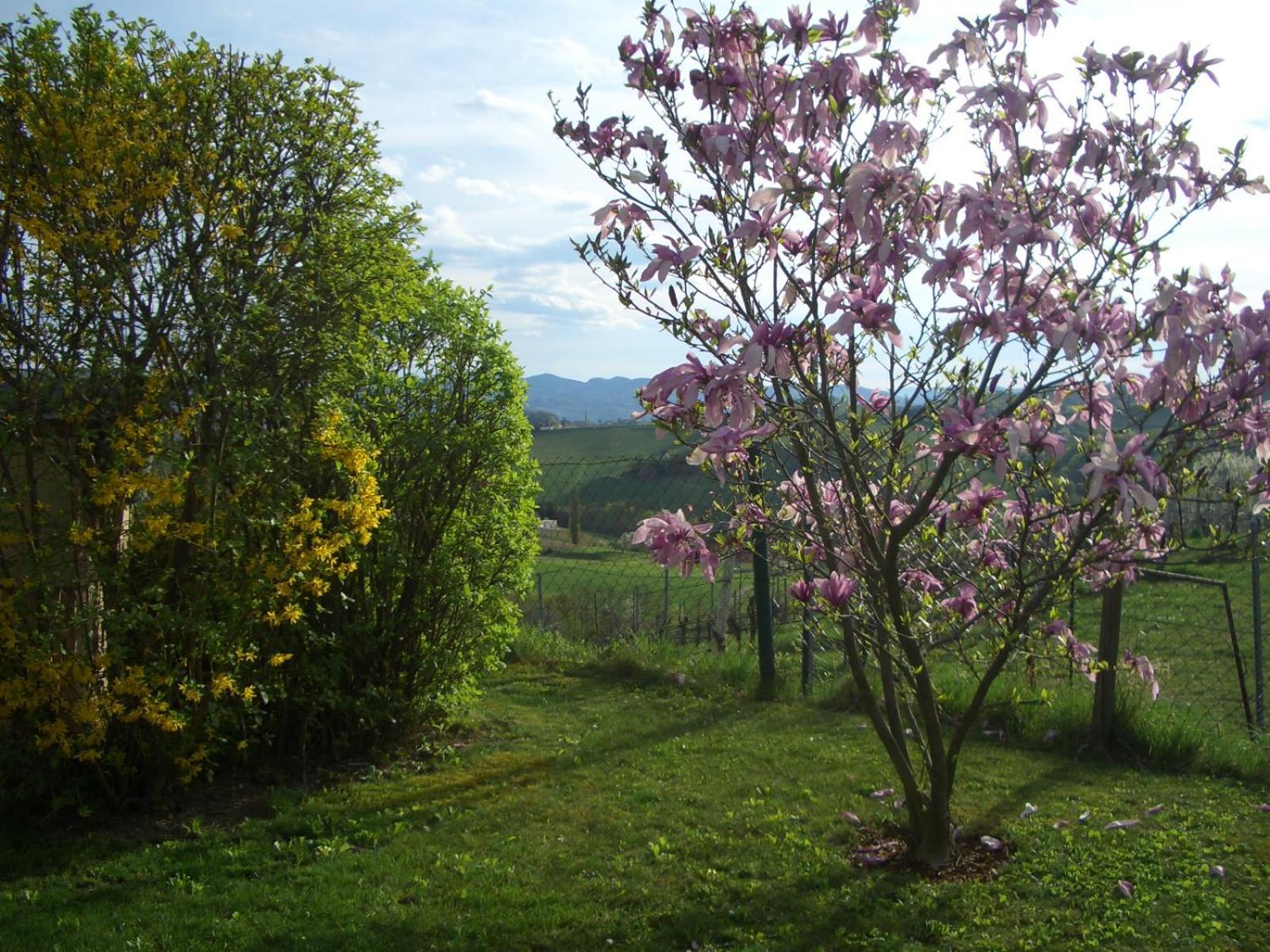 Das Weinberghaus Ratsch an der Weinstraße Εξωτερικό φωτογραφία
