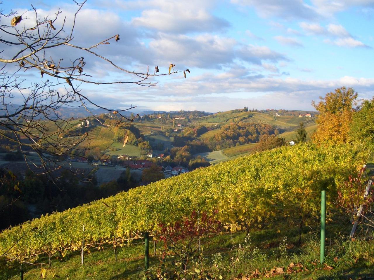 Das Weinberghaus Ratsch an der Weinstraße Εξωτερικό φωτογραφία