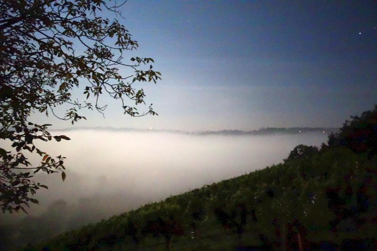 Das Weinberghaus Ratsch an der Weinstraße Εξωτερικό φωτογραφία